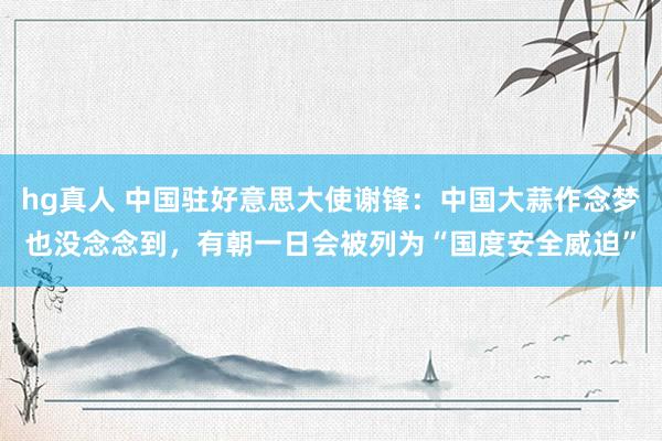 hg真人 中国驻好意思大使谢锋：中国大蒜作念梦也没念念到，有朝一日会被列为“国度安全威迫”