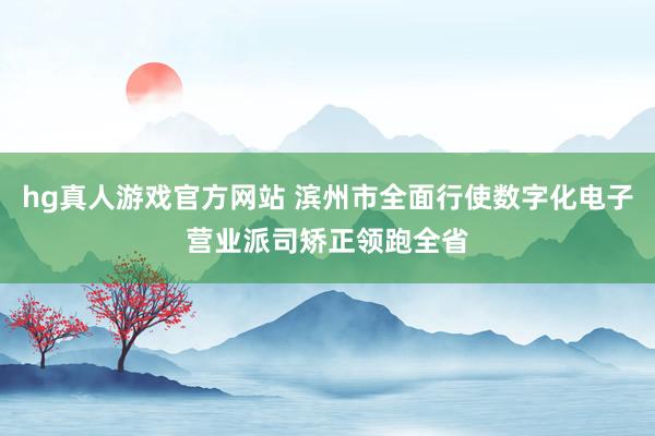 hg真人游戏官方网站 滨州市全面行使数字化电子营业派司矫正领跑全省