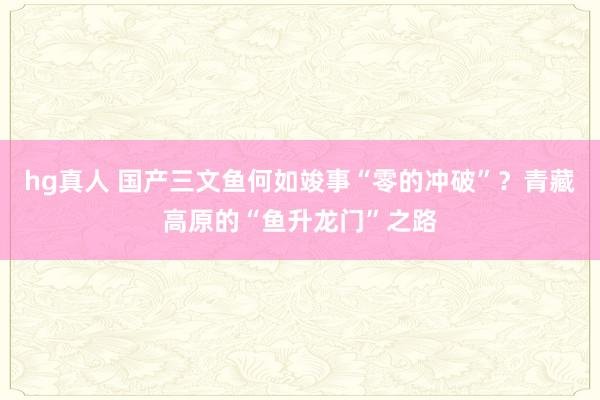 hg真人 国产三文鱼何如竣事“零的冲破”？青藏高原的“鱼升龙门”之路