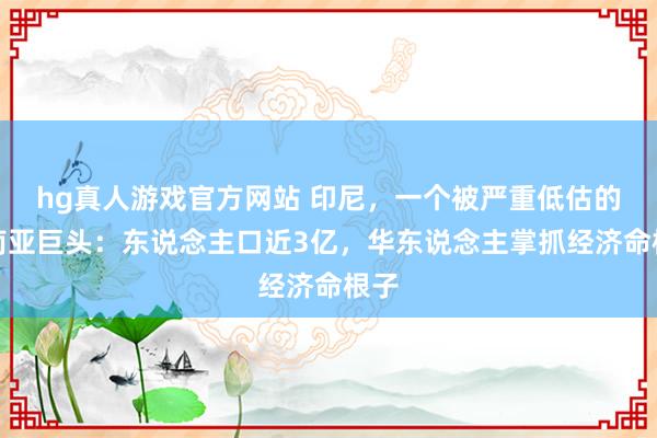 hg真人游戏官方网站 印尼，一个被严重低估的东南亚巨头：东说念主口近3亿，华东说念主掌抓经济命根子