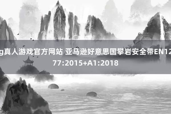 hg真人游戏官方网站 亚马逊好意思国攀岩安全带EN12277:2015+A1:2018