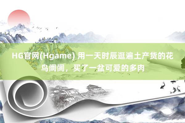 HG官网(Hgame) 用一天时辰逛遍土产货的花鸟阛阓，买了一盆可爱的多肉