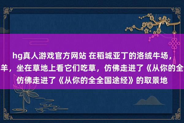 hg真人游戏官方网站 在稻城亚丁的洛绒牛场，偶遇了一群野生的岩羊，坐在草地上看它们吃草，仿佛走进了《从你的全全国途经》的取景地