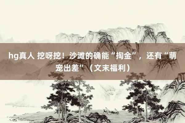 hg真人 挖呀挖！沙滩的确能“掏金”，还有“萌宠出差”（文末福利）