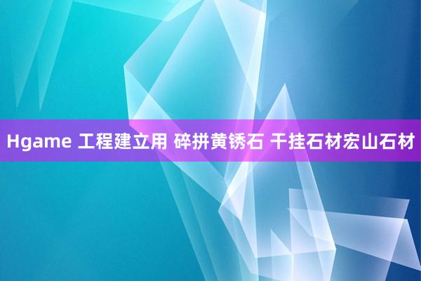 Hgame 工程建立用 碎拼黄锈石 干挂石材宏山石材