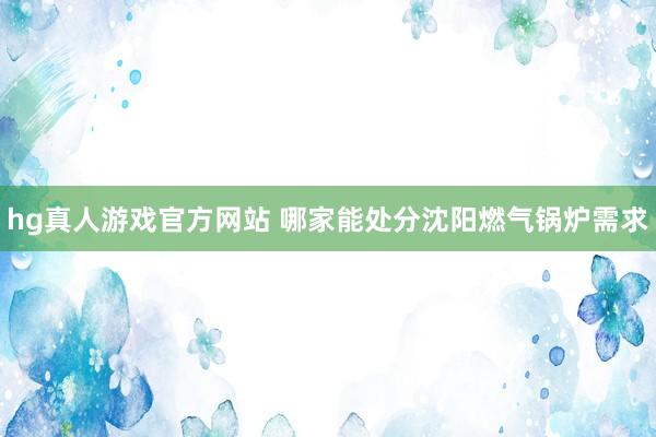 hg真人游戏官方网站 哪家能处分沈阳燃气锅炉需求