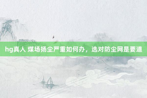 hg真人 煤场扬尘严重如何办，选对防尘网是要道