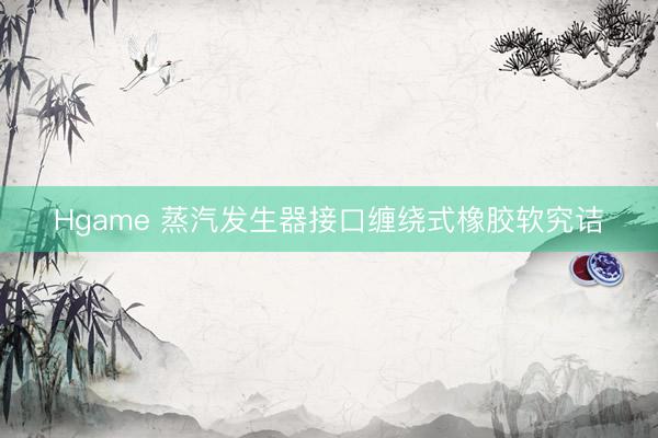 Hgame 蒸汽发生器接口缠绕式橡胶软究诘