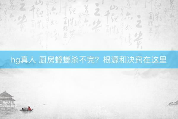 hg真人 厨房蟑螂杀不完？根源和决窍在这里